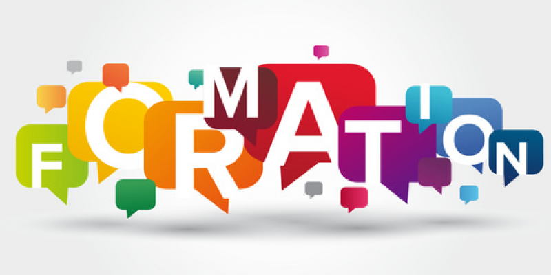 Formations littéraires et linguistiques par webcam.