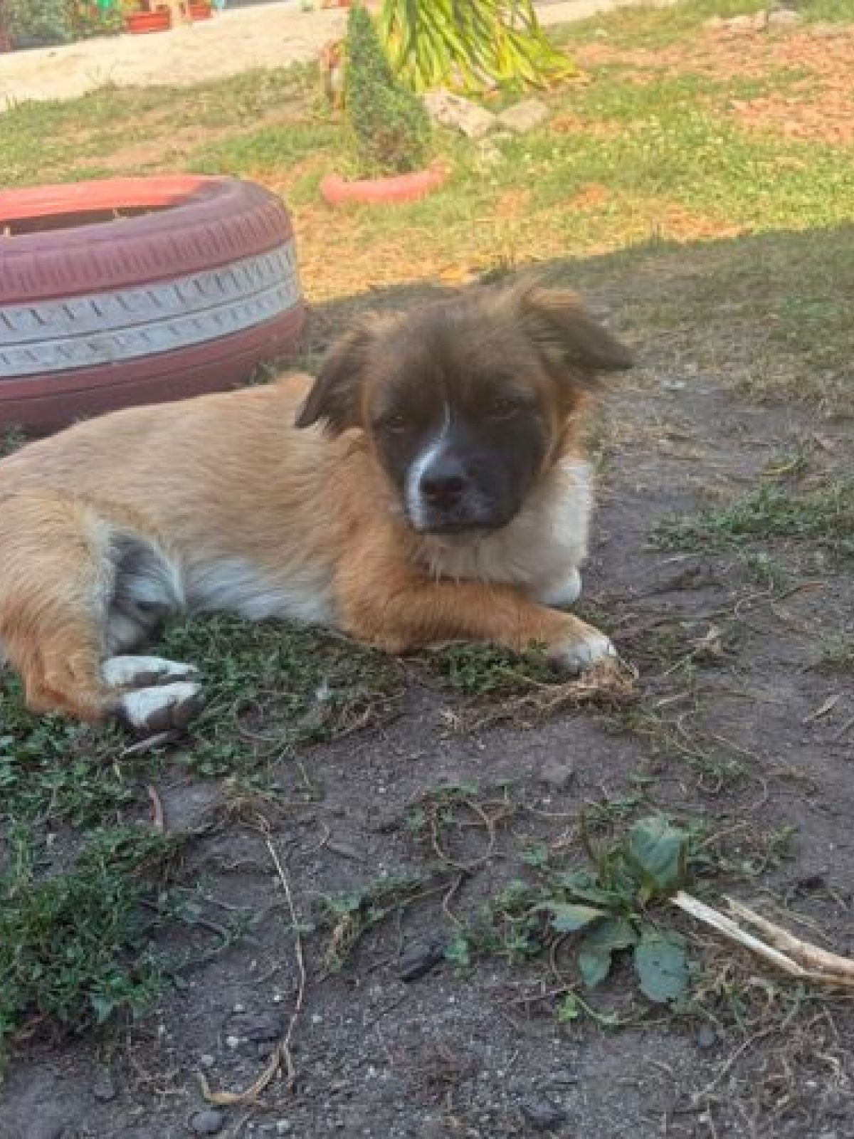 PEKI