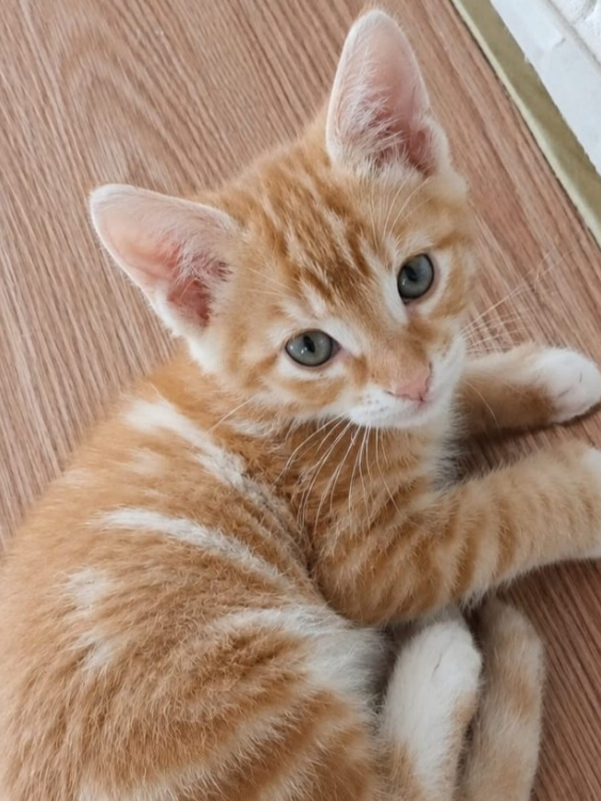 Charlie