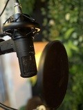 Stam audio SA-800G - 2 150 €