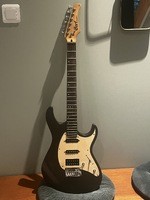 Cort G210 upgrade  - 80 €