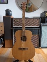 Guitare folk Cort Luce Grand OP - 150 €