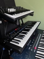 Korg poly 800MK2. FDP in - 365 €