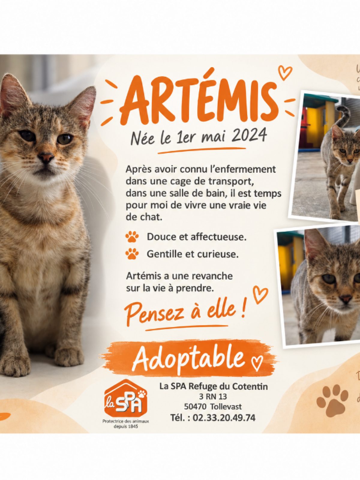 Artemis