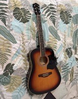 Vends ? Guitare acoustique Ibanez V50NJP-OVS - 60 €