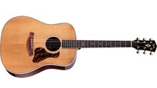Vente Taylor Gold Label 710e - 2 759 €