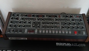 Prophet 6 MODULE  +++  - 1 850 €