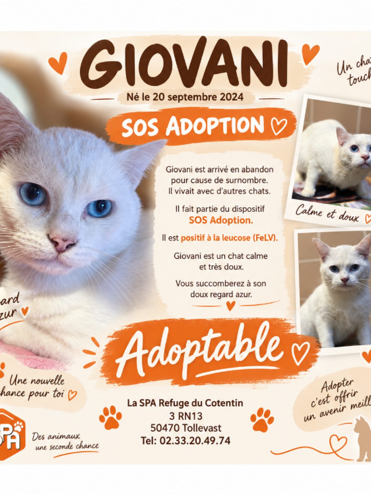 Giovanni / vadrouille