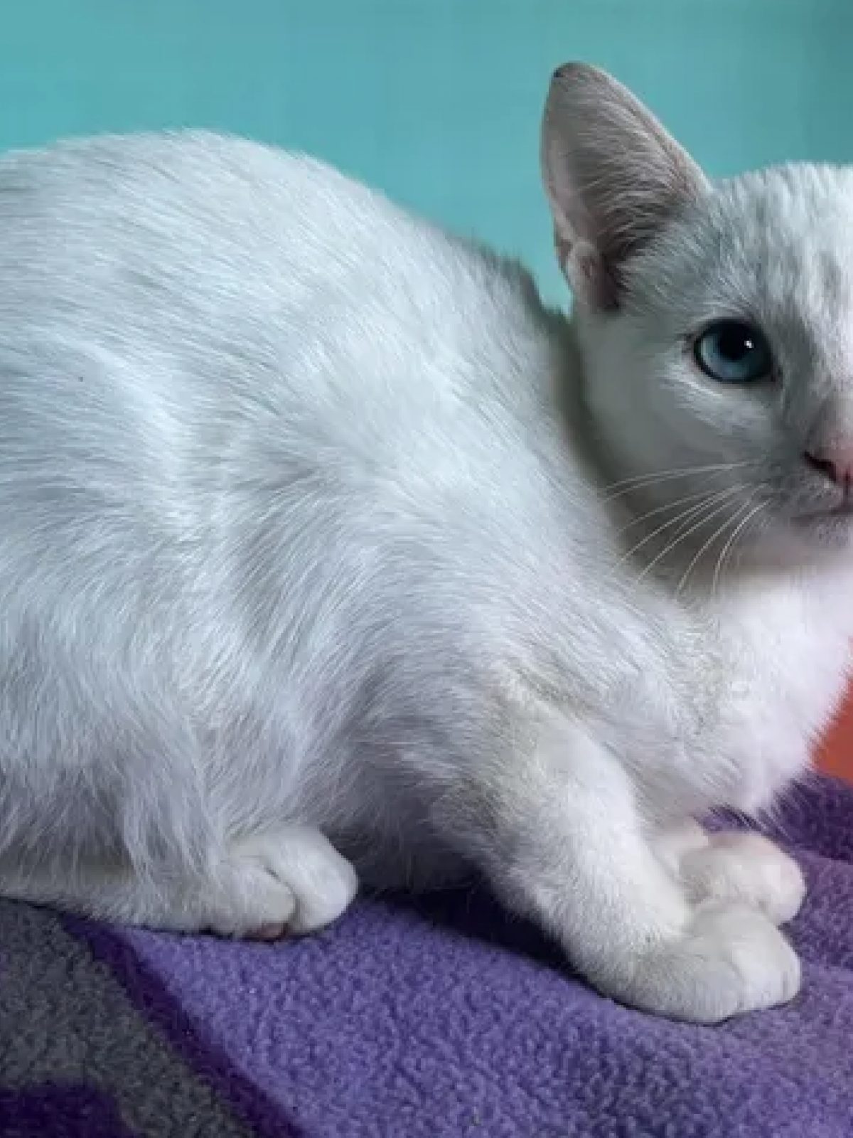 Casper