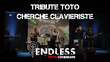 ENDLESS cherche son nouveau claviériste ! Secteur Toulouse