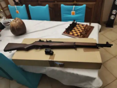 M1 garand ics.
