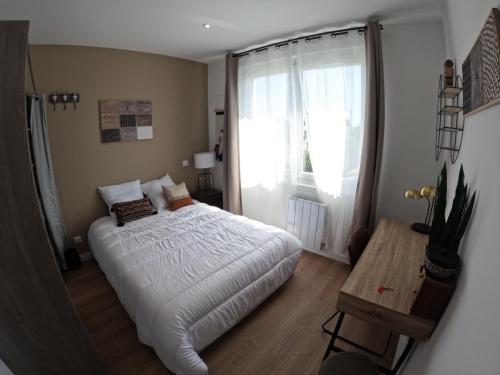 COLIVING FRIENDS - HAUT DE GAMME