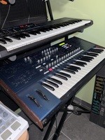 Korg ms2000 FDP in - 440 €