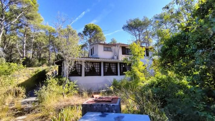 Maison de campagne avec 9200m² + cabanon