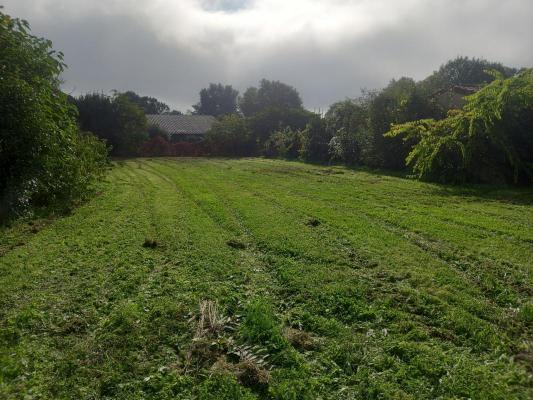 Saint-Loubes, Chemin des Anglais, Maison pierre à rénover av