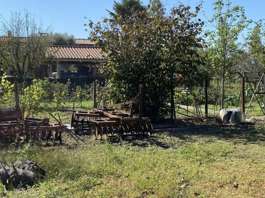 Maison  Type T 8 avec Dépendances, terrain environ 700 m2