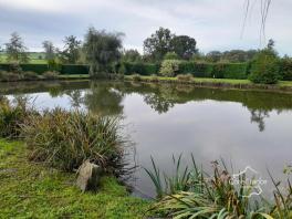 Terrain de loisirs au calme