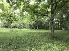 ANCIENNE FERME  AVEC DÉPENDANCES 2.63 HECTARES