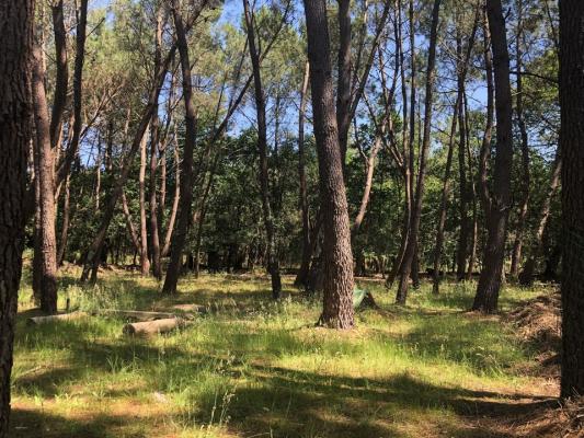 Maison de hameau de 90m² avec un terrain de 2365m² à Lussas