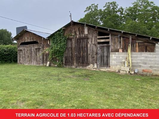 TERRAIN AGRICOLE DE 1. 03 HECTARES  AVEC DÉPENDANCES