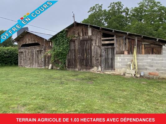 TERRAIN AGRICOLE DE 1. 03 HECTARES  AVEC DÉPENDANCES