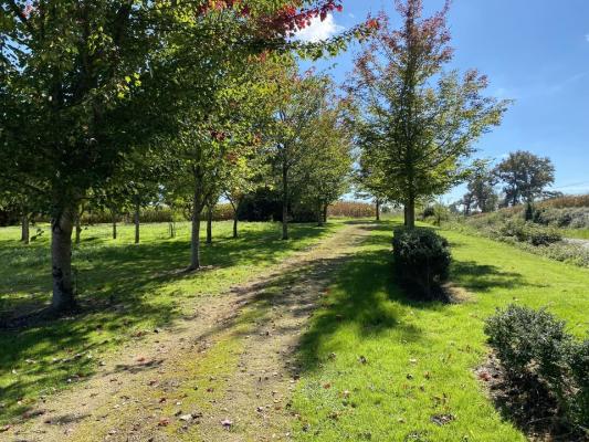 ANCIENNE FERME GASCONNE DE 340 M2 AVEC DÉPENDANCES