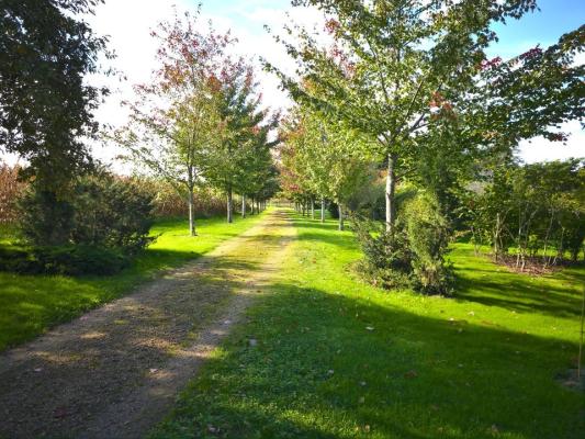 ANCIENNE FERME GASCONNE DE 340 M2 AVEC DÉPENDANCES