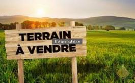 Terrain en Vente - Bollezeele (59470)