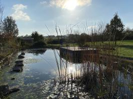 Pavillon de plain-pied de 96 m2 avec piscine naturelle