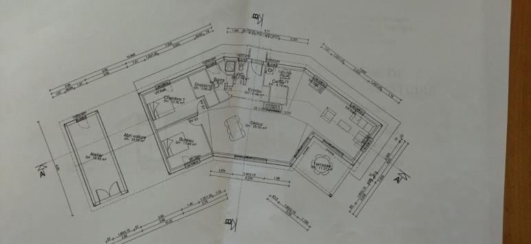 Pavillon de plain-pied de 96 m2 avec piscine naturelle