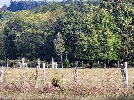 Terrain de loisir