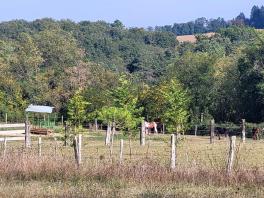 Haras / Equestre