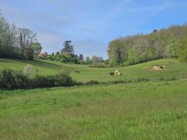 Haras / Equestre