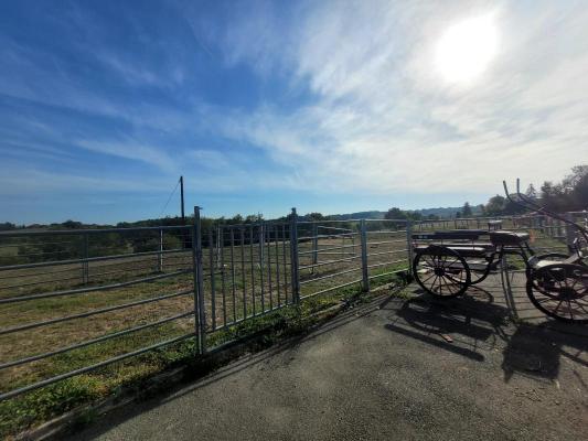 Haras / Equestre