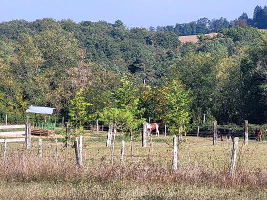 Haras / Equestre