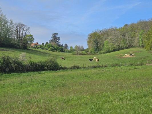 Haras / Equestre