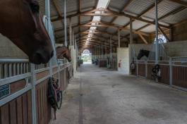 Haras / Equestre