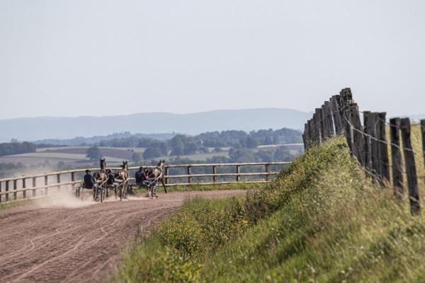 Haras / Equestre