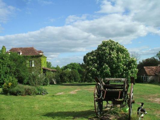 Terrain constructible