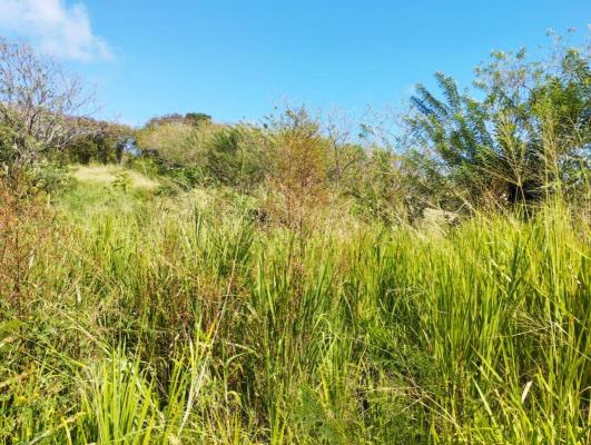 Au Vauclin, Martinique , à vendre Terrain de 1299m² à proximité