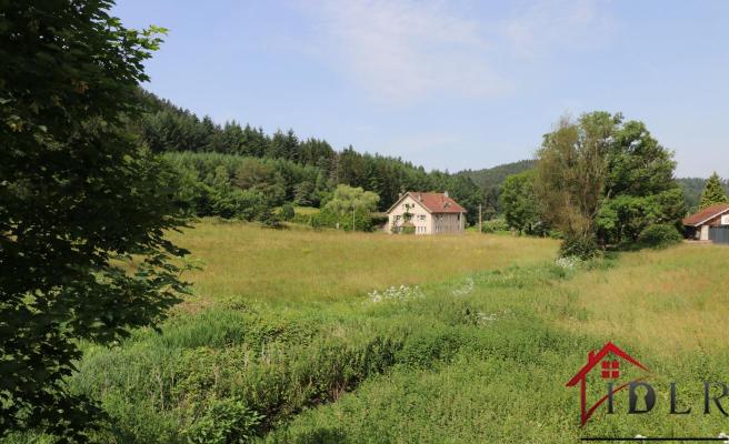 VOSGES A SAISIR MAISON 320 m2 FORT POTENTIEL