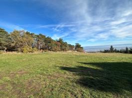 Maison sur 3 hectares à BARD