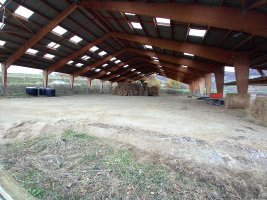 ST ROMAIN EN JAREZ - HANGAR ouvert bois de 1180m² sur 3180m² de terrain