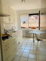 APPARTEMENT SAINT ETIENNE BADOUILLERE