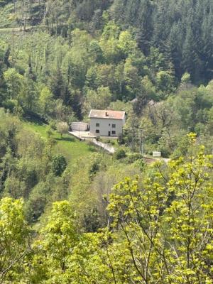 SAINT ETIENNE ROCHETAILLEE MAISON TRADITIONNELLE DE 200 M² TERRAIN DE 11400 M²