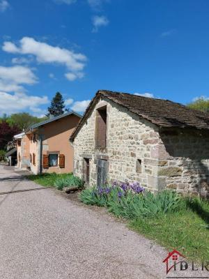 Belle ferme rénovée de 180m2 avec gîte