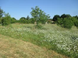 DORDOGNE- COUX ET BIGAROQUE- TERRAIN