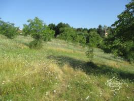 DORDOGNE- COUX ET BIGAROQUE- TERRAIN