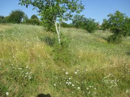 DORDOGNE- COUX ET BIGAROQUE- TERRAIN