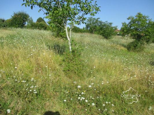 DORDOGNE- COUX ET BIGAROQUE- TERRAIN